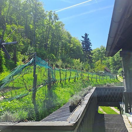 Das Altsteirische Landhaus - La Maison De Pronegg - Feriendomizil Im Biosphaerenpark Wienerwald Pressbaum Kültér fotó