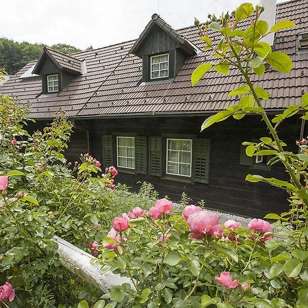 Das Altsteirische Landhaus - La Maison De Pronegg - Feriendomizil Im Biosphaerenpark Wienerwald Pressbaum Szoba fotó