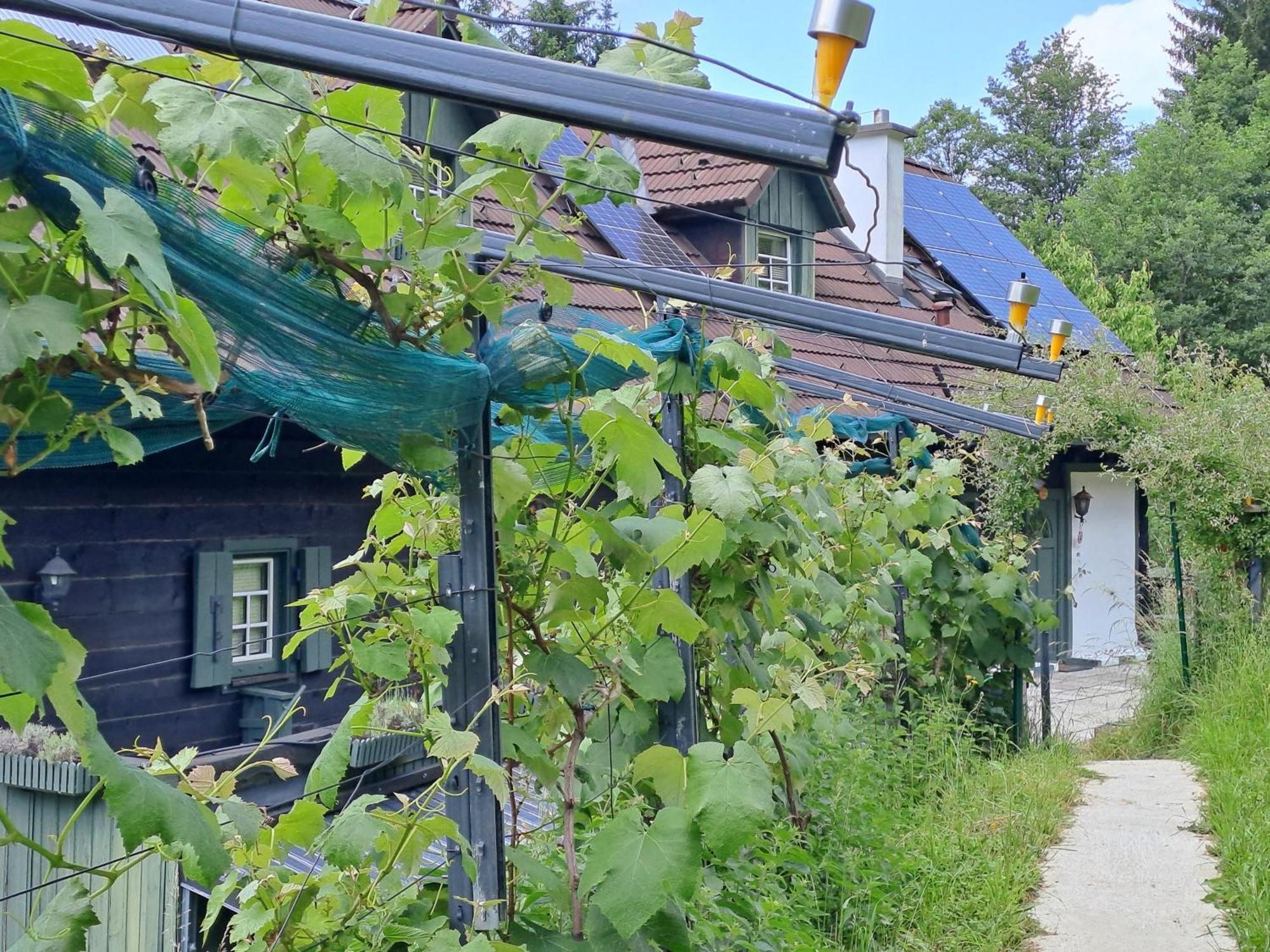 Das Altsteirische Landhaus - La Maison De Pronegg - Feriendomizil Im Biosphaerenpark Wienerwald Pressbaum Kültér fotó