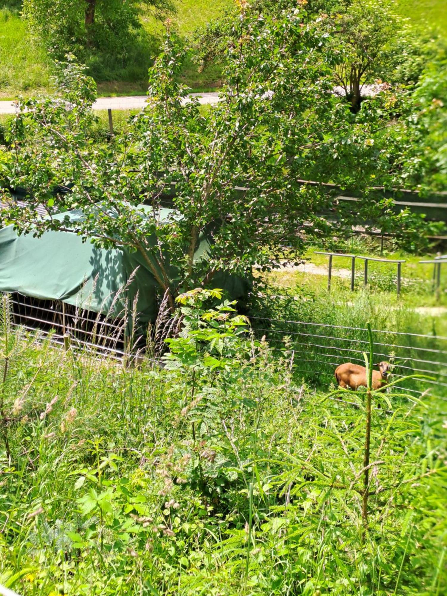 Das Altsteirische Landhaus - La Maison De Pronegg - Feriendomizil Im Biosphaerenpark Wienerwald Pressbaum Kültér fotó