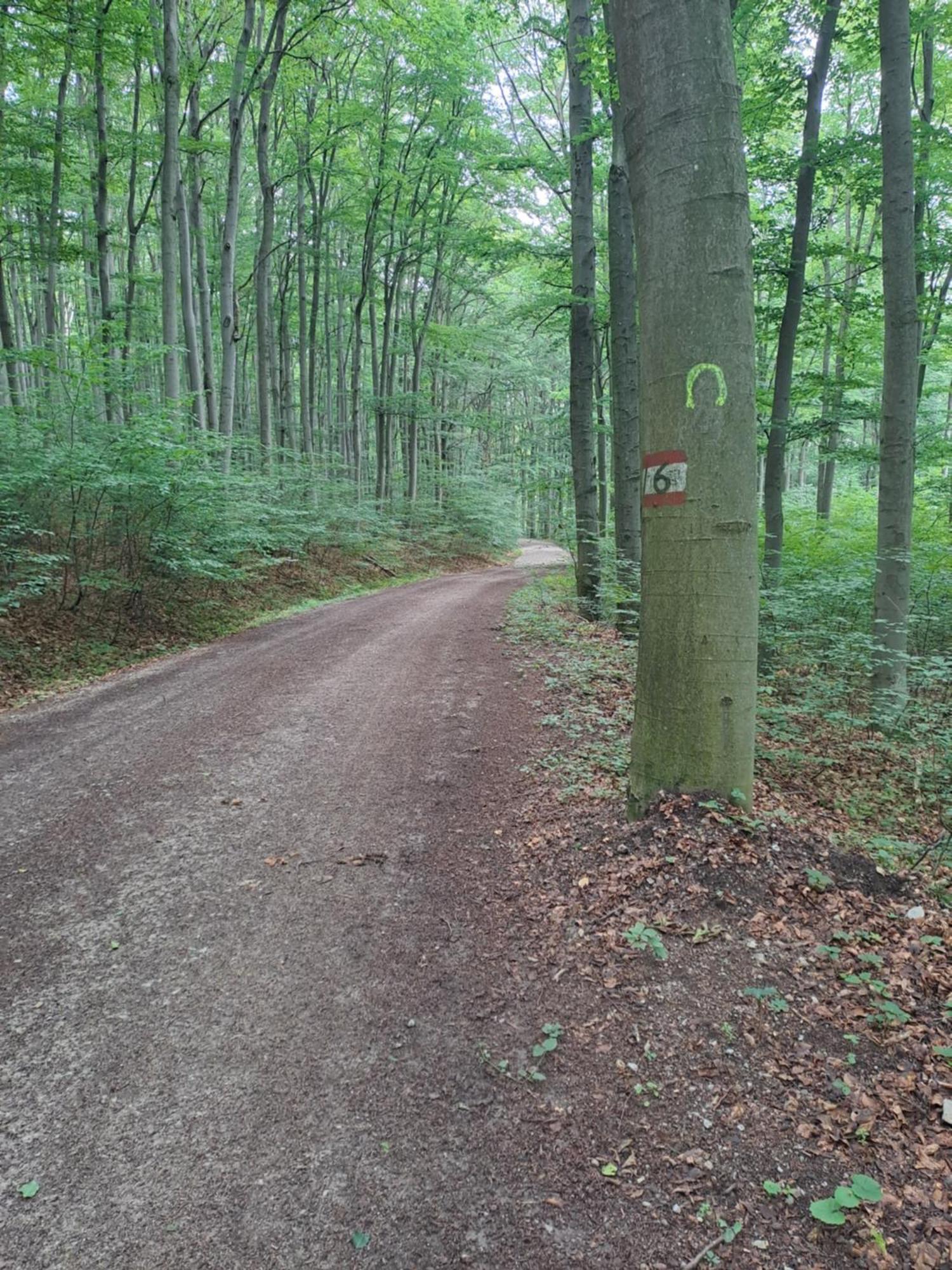 Das Altsteirische Landhaus - La Maison De Pronegg - Feriendomizil Im Biosphaerenpark Wienerwald Pressbaum Kültér fotó
