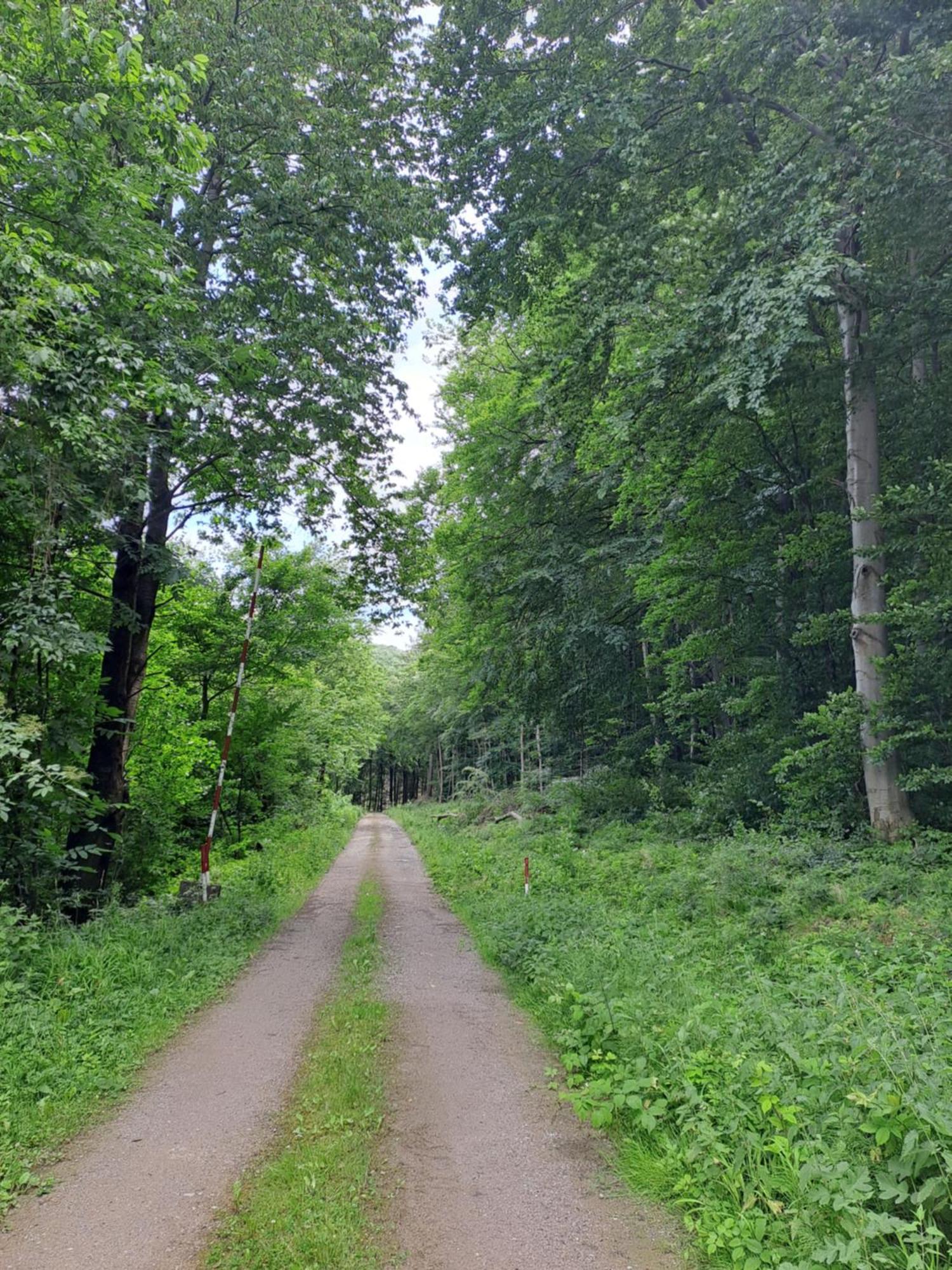 Das Altsteirische Landhaus - La Maison De Pronegg - Feriendomizil Im Biosphaerenpark Wienerwald Pressbaum Kültér fotó