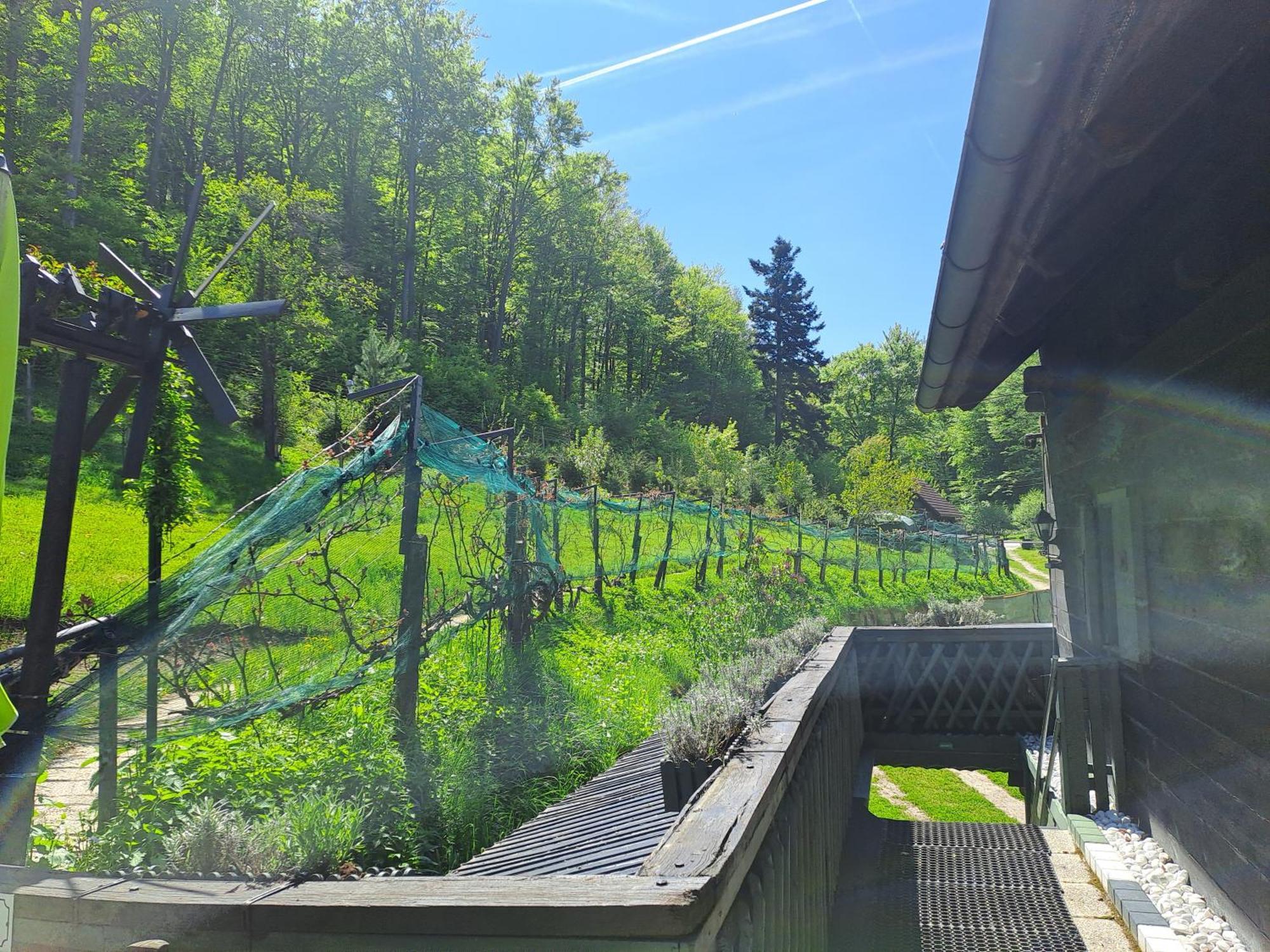 Das Altsteirische Landhaus - La Maison De Pronegg - Feriendomizil Im Biosphaerenpark Wienerwald Pressbaum Kültér fotó