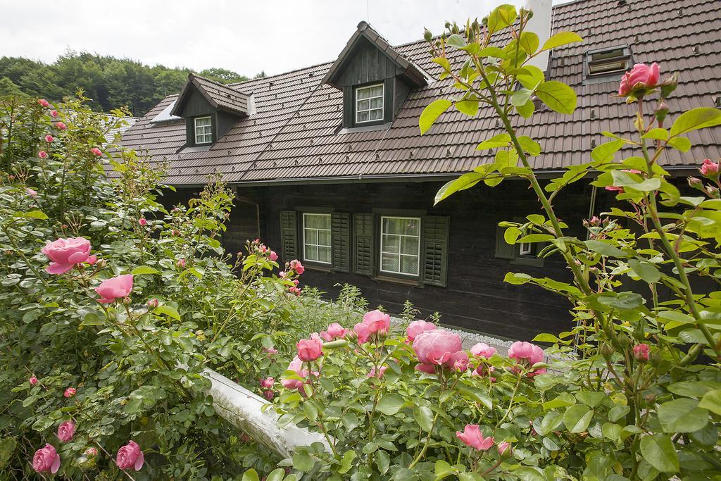 Das Altsteirische Landhaus - La Maison De Pronegg - Feriendomizil Im Biosphaerenpark Wienerwald Pressbaum Szoba fotó